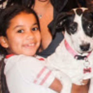 Meet your Posher, Brooklyn